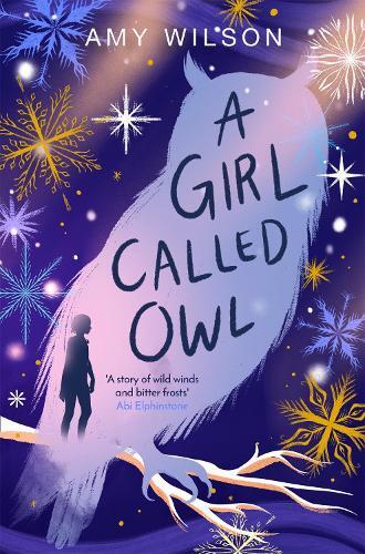 A Girl Called Owl | Amy Wilson