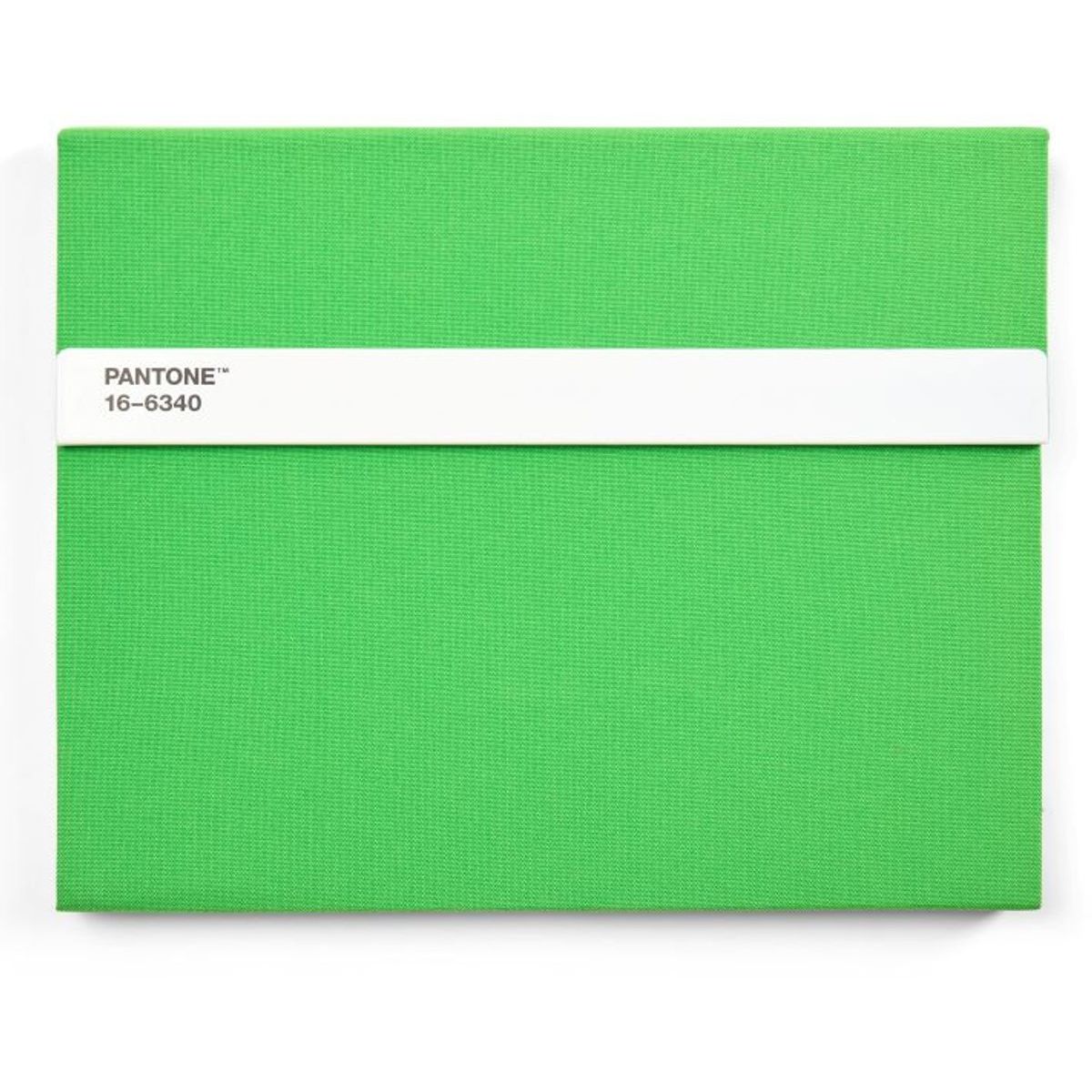 Pantone Gatefold Notebook with Pencil / Unlined - Green 16-6340 (24 x 19 cm)