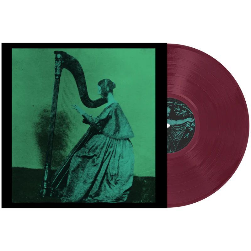 Grapes Upon The Vine (Win Colored Vinyl) | TV Girl