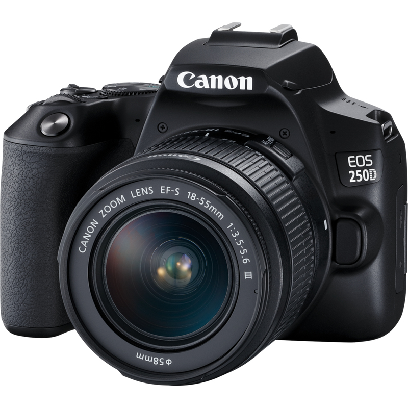 Canon EOS 250D DSLR Camera Black + EF-S 18-55mm F/3.5-5.6 III + EF 75-300mm F/4-5.6 III USM Zoom Lens (Bundle)