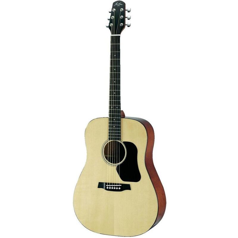 Walden Hawthrone Acoustic Guitar HD220